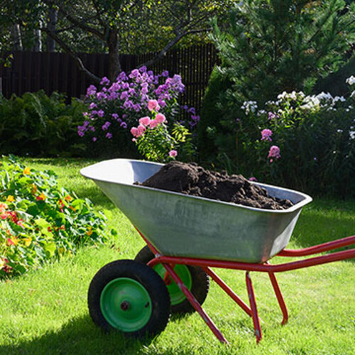 Todas las preguntas que debes plantearte antes de hacer compost para tus plantas